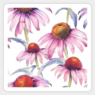 Watercolor Wildflower Purple Coneflower Pattern 2 Sticker